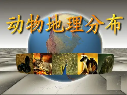 动物地理学