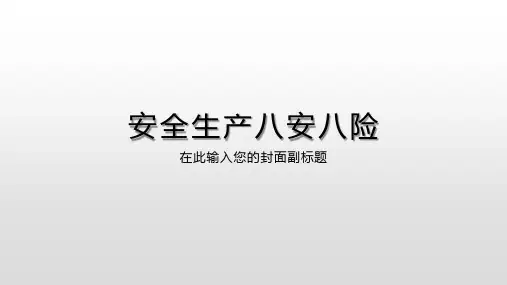 安全生产八安八险