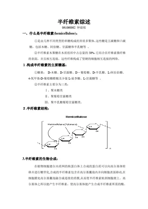 半纤维素综述