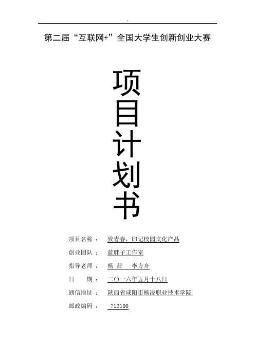 全国大学生创新创业大赛规划书