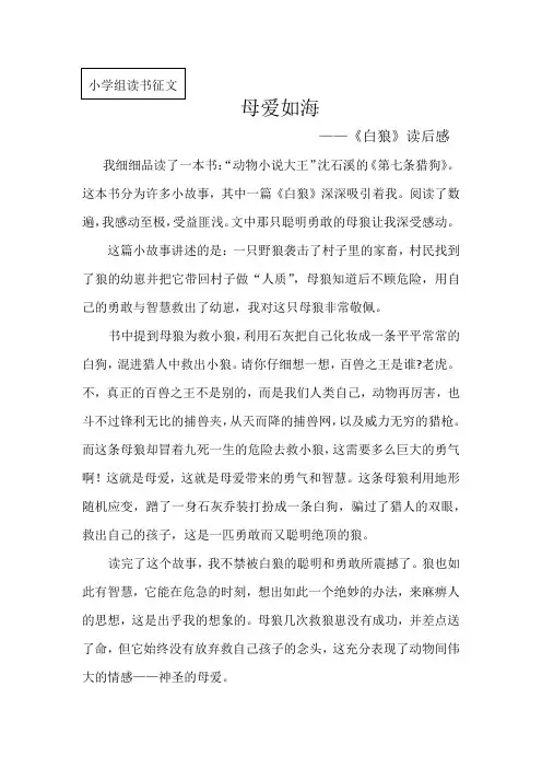 读书征文7
