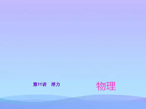 中考物理总复习第11讲：浮力ppt 通用优秀课件