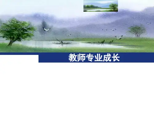教师专业成长(课件)