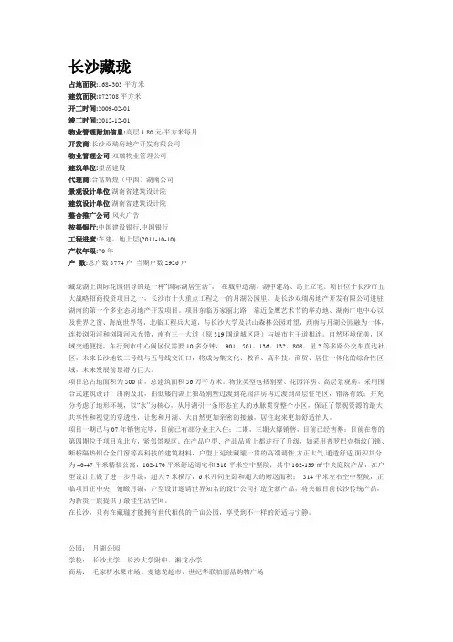 长沙藏珑国际湖上花园 分析
