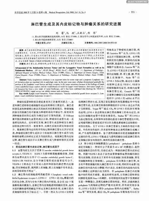 淋巴管生成及其内皮标记物与肿瘤关系的研究进展