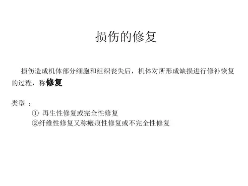 损伤的修复