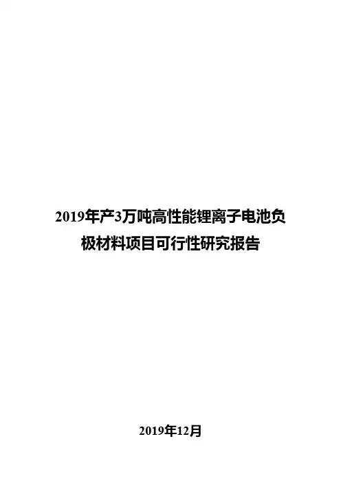 2019年产3万吨高性能锂离子电池负极材料项目可行性研究报告