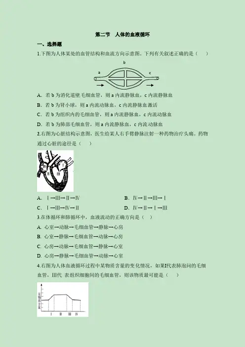 苏教版生物七年级下册 《人体的血液循环》同步练习