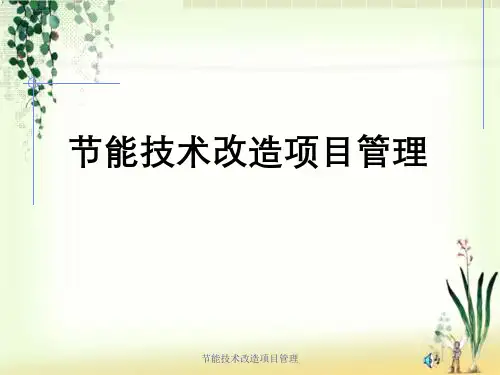 节能技术改造项目管理