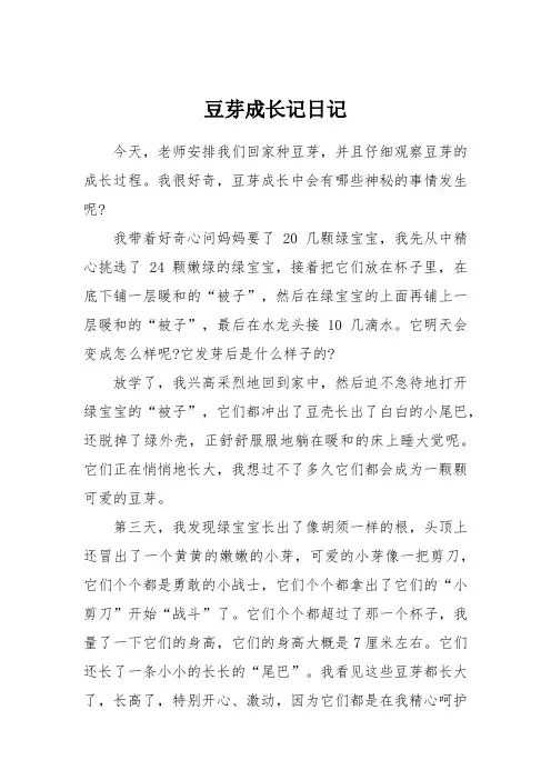 豆芽成长记日记