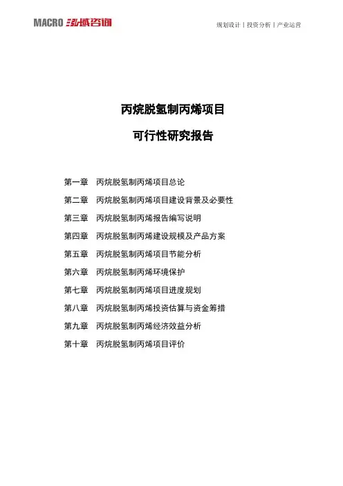 丙烷脱氢制丙烯项目可行性研究报告