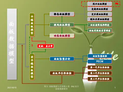 课件:混合面板数据模型