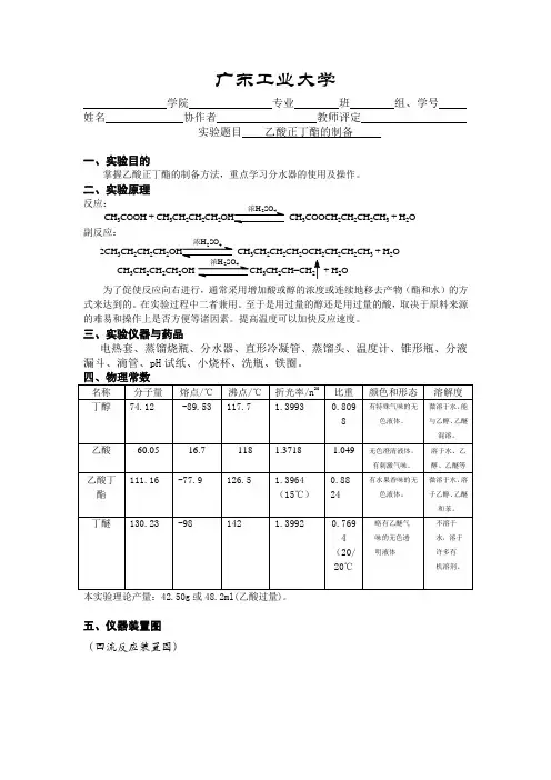乙酸正丁酯的制备