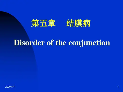 结膜角膜巩膜病