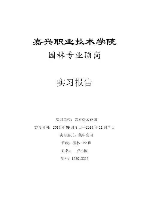 顶岗实习实习报告