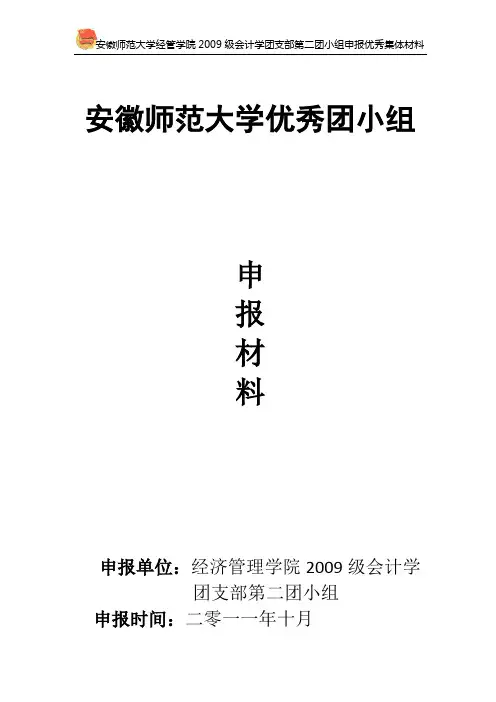 优秀团小组申报材料