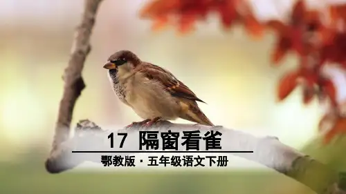 隔窗看雀