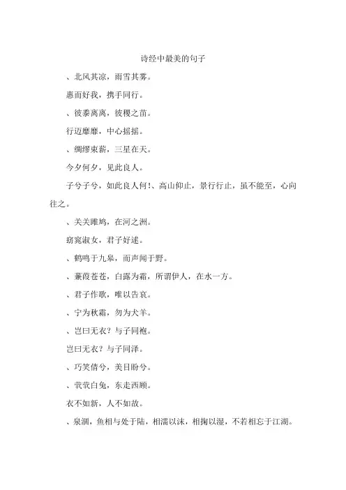 诗经中最美的句子-作文