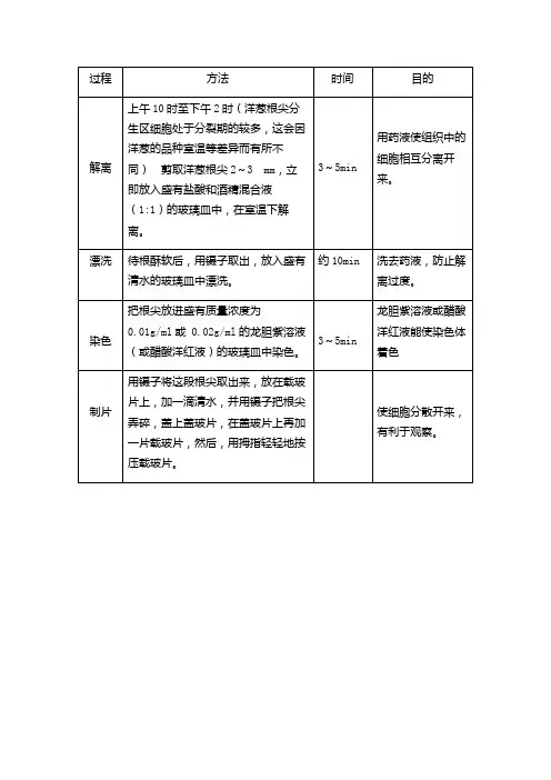 根尖分生组织细胞有丝分裂步骤