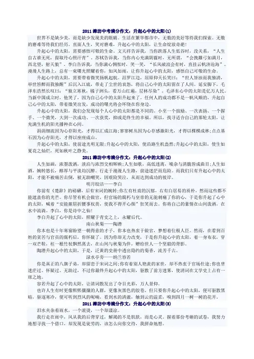 2011潍坊中考满分作文(升起心中的太阳)4篇