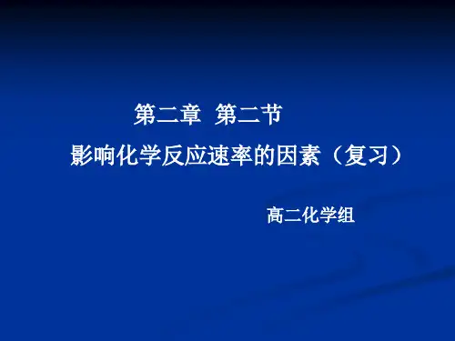第二章  第二节  影响化学反应速率的因素