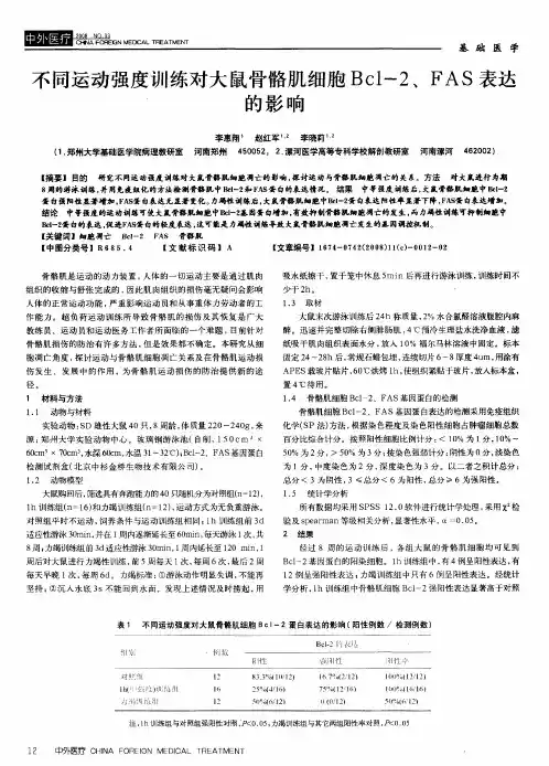 不同运动强度训练对大鼠骨骼肌细胞Bcl-2、FAS表达的影响