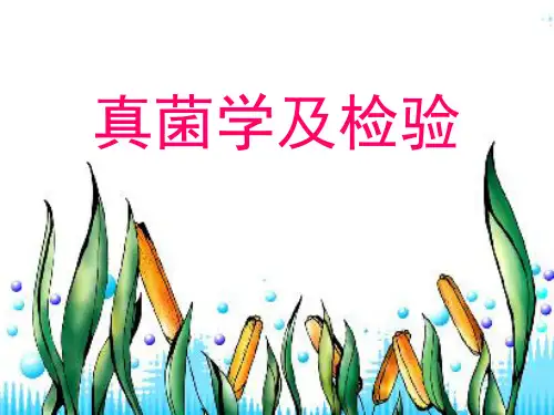 真菌及检验