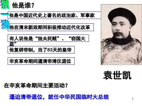 北洋政府与军阀混战(课堂PPT)