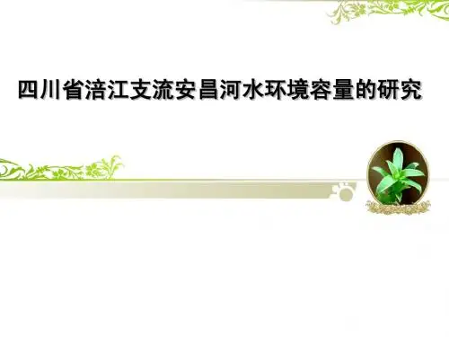 涪江支流安昌河水环境容量的研究