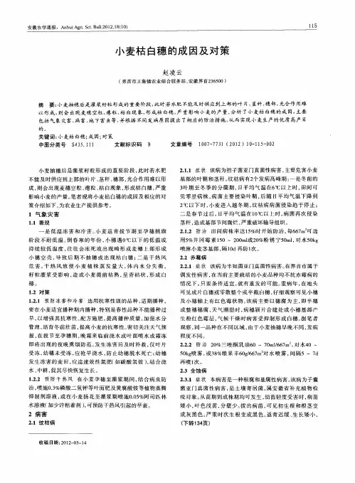 小麦枯白穗的成因及对策