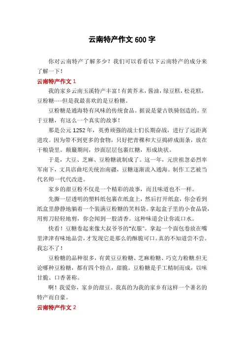云南特产作文600字