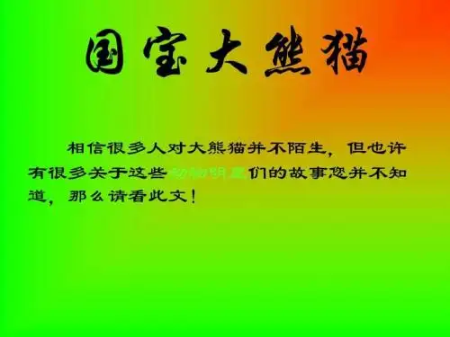 模板国宝大熊猫