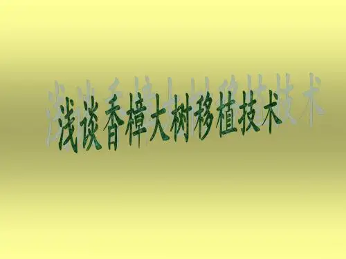 演讲稿ppt