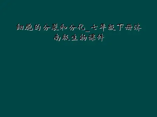 细胞的分裂和分化_七年级下册济南版生物课件