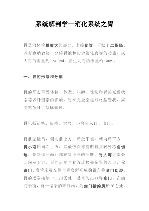 系统解剖学—消化系统之胃