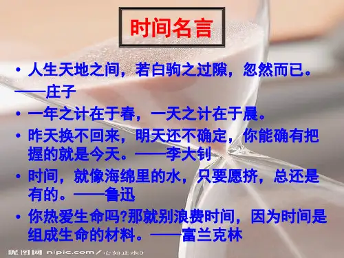 捉不住的鼬鼠ppt课件三
