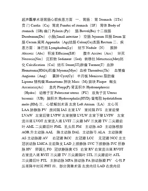 医学超声术语
