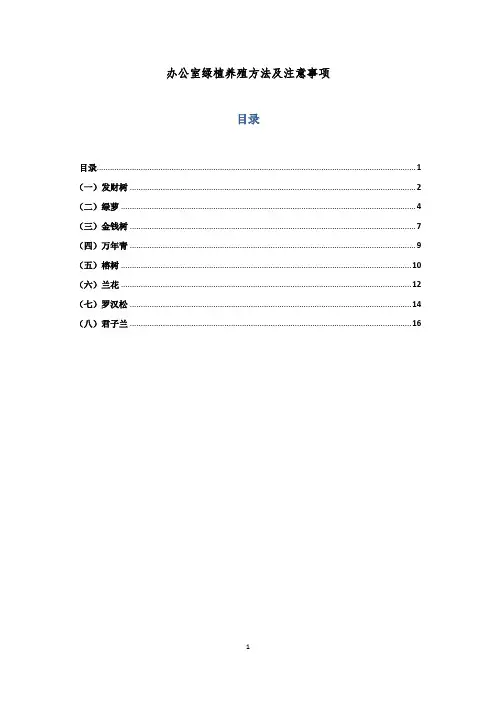 办公室绿植养殖方法及注意事项
