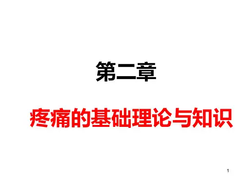 疼痛的基础理论与知识PPT课件