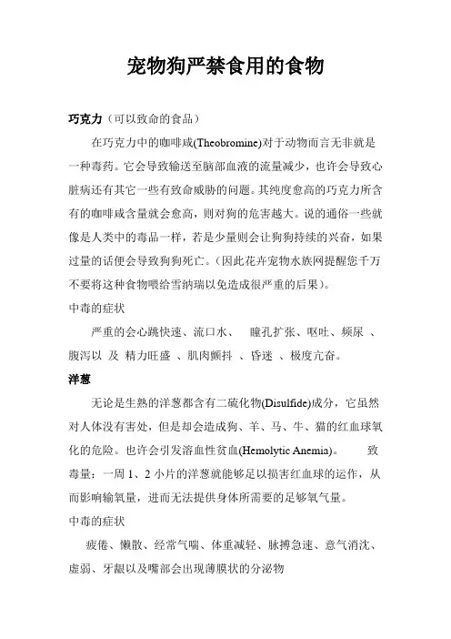 宠物狗不能吃哪些食物
