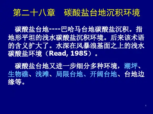 28碳酸盐台地沉积环境及29.海相深水碳酸盐解析