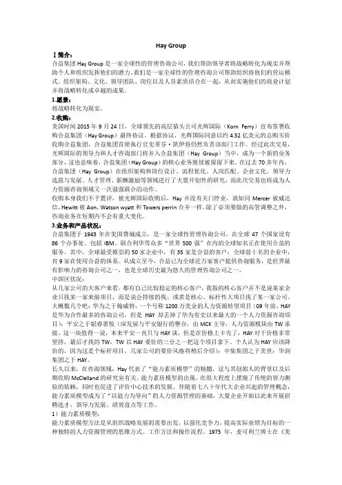 Hay Group合益集团绩效分析