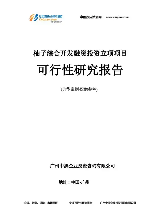 柚子综合开发融资投资立项项目可行性研究报告(中撰咨询)