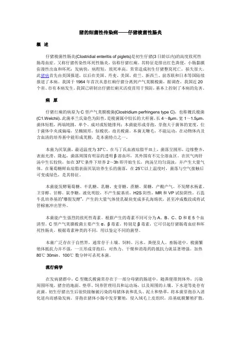 猪的细菌性传染病——仔猪梭菌性肠炎
