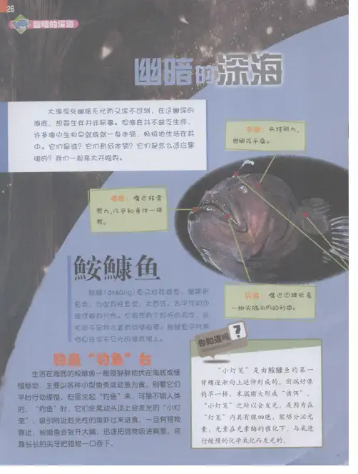 幽暗的深海