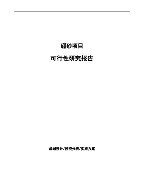 硼砂项目可行性研究报告