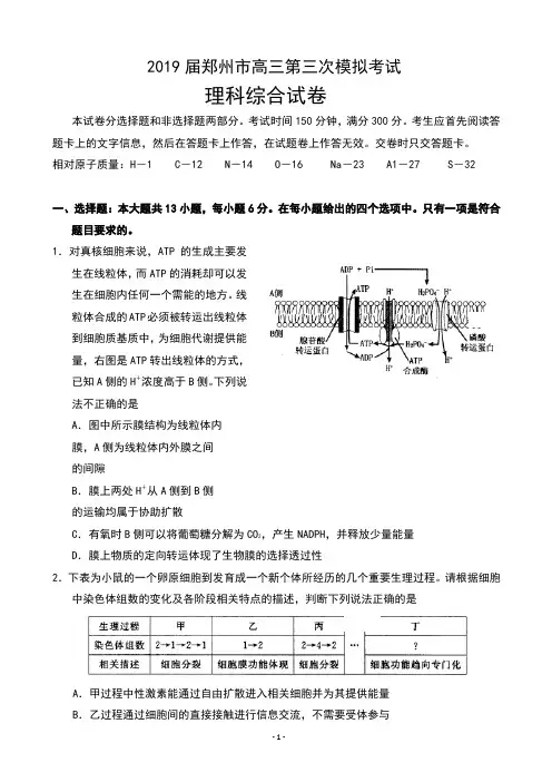 2019届河南省郑州市高三第三次质量预测理科综合试卷及答案