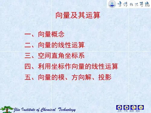 向量知识