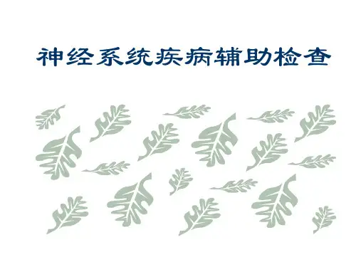 CNS检查