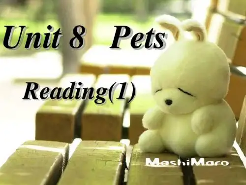 7B Unit8 Pets Reading1